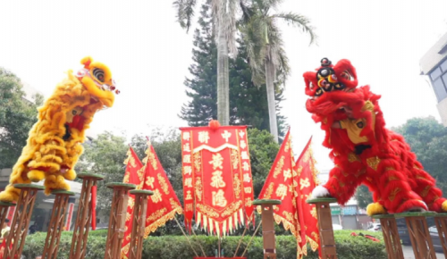 龙腾狮跃，共铸鲜丽未来！